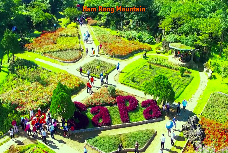 Ham Rong mountain in Sapa